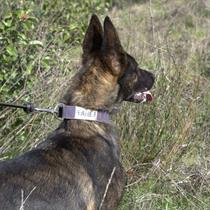 Tactical Tracking School