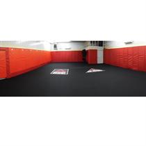 Combatives
