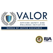 Law Enforcement Agency and Officer Resilience Training