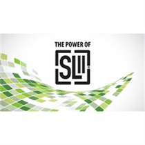 Situational Leadership® II