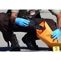 Evidence Processing: Crime Scene to Courtroom Basics